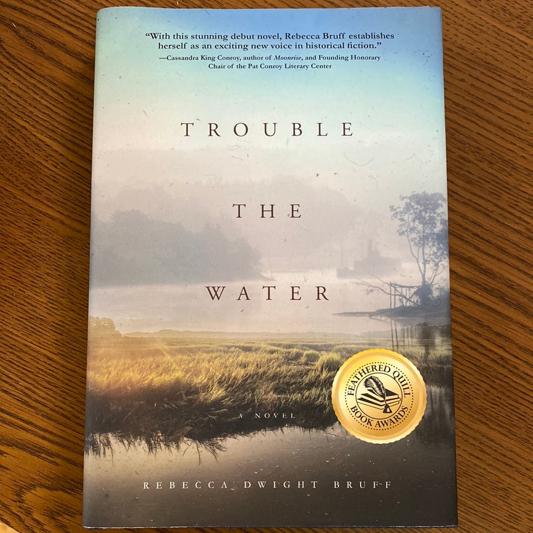 Book; Trouble the water a novel