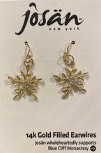 Load image into Gallery viewer, Josan Wired Earrings
