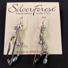 Load image into Gallery viewer, $25 Silver Forest Handcrafted Earrings
